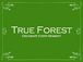 True Forest(公認)