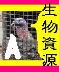 ̾ء06056A饹