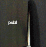 PEDAL-real street movement