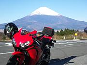 �緿�Х�����401CC����