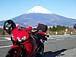 �緿�Х�����401CC����