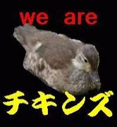 WE ARE 