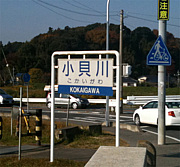 ����������������ɤ�������