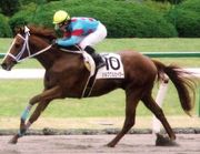 シルククルセイダー