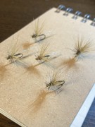 関西 Flyfishing Partners (KFP)
