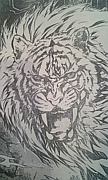 Lion Liger Ligest ʥ饤