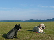 �Ķ����Ф������Ӥ�����礹���