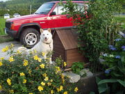 50代一息ついてあとは楽しく