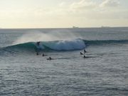 Hawaii �˥����եȥ�å�