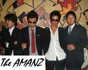 The AMANZ