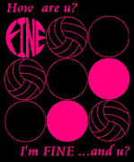 バレーボール愛好会FINE