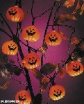 ��GINZA��HALLOWEEN��NIGHT��