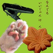 �ʤ�Ǥ⤤������󤱤�