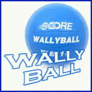 WALLYBALL GOLDGYMϼƻ