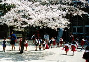 京都 北野幼稚園