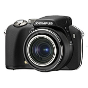 ̥�ǤΡ���������SASHIN��