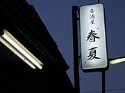 ��򲰡��ղơ�����������