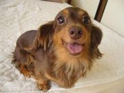 ̾�Ų�ȯ���ģϣǡ���(���ϡ���)