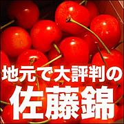 (�����؎�)�ɡ��� ��ƣ�ӡ�����