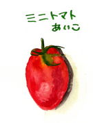 ミニトマトあいこは日本一！