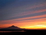 ȴ������ع�