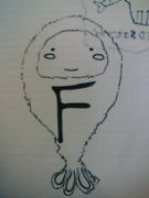 ���ӥե饤!!!!�����⤫������