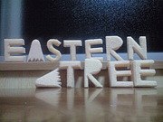 EASTERN��TREE
