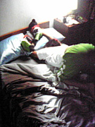 ��������Τ�����(��������)��