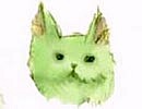 green              cat