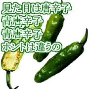 �ӥå��֥�å¤Τ����Ȥ�