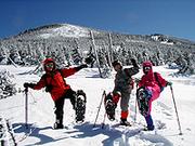 �ߤΥХå�����ȥ꡼��ͷ�ܤ���