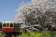 小湊鉄道保存会♪♯