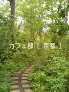 ���ե����� ���� ��