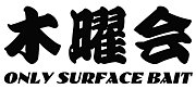 ONLY SURFACE˲