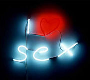 Tim Noble and Sue Webster