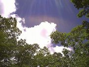 �������ɤ������դ���