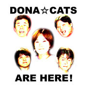 歌謡メタルBAND【DONA☆CATS】