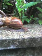 ���� ̾����Ω ī���� ī����