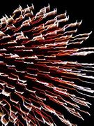 ������⣸���������Ȥβ����