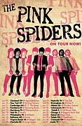 The Pink Spiders