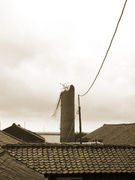 ��Τ�����