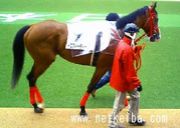 ���ȥ��ե����ǥ������