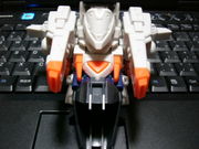 �����ܥӡ��������긢