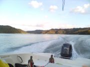 はい鶏サークル仲間