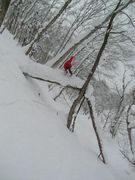 ��¼���ɹ�