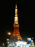 東京タワーが見える家