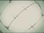 ���̥֥��å�����ĥ�ǥ�̼��