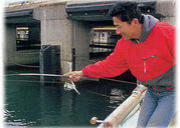 �ӣƣӡʥ������ƥ����ӥ���