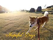 ��Ʀ��!?�ۡ��פ�Hopeful Days��