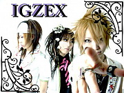 IGZEX
